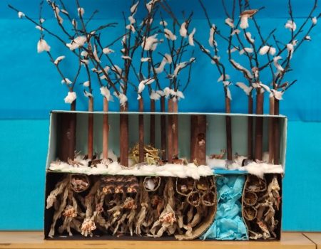 Az erdő titkai – gyökértől a lombkoronáig