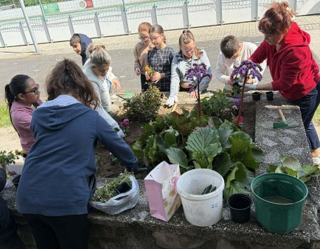 Föld napja a Meszlényiben