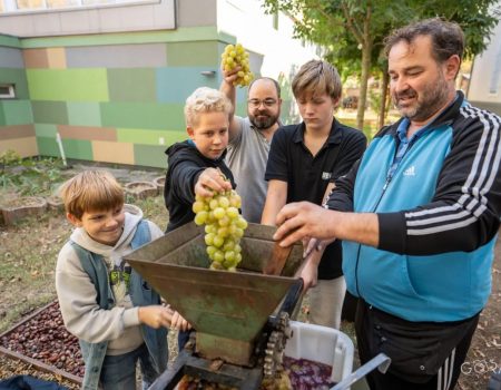 Kertünk kincsei: a teremtett világ ajándékai